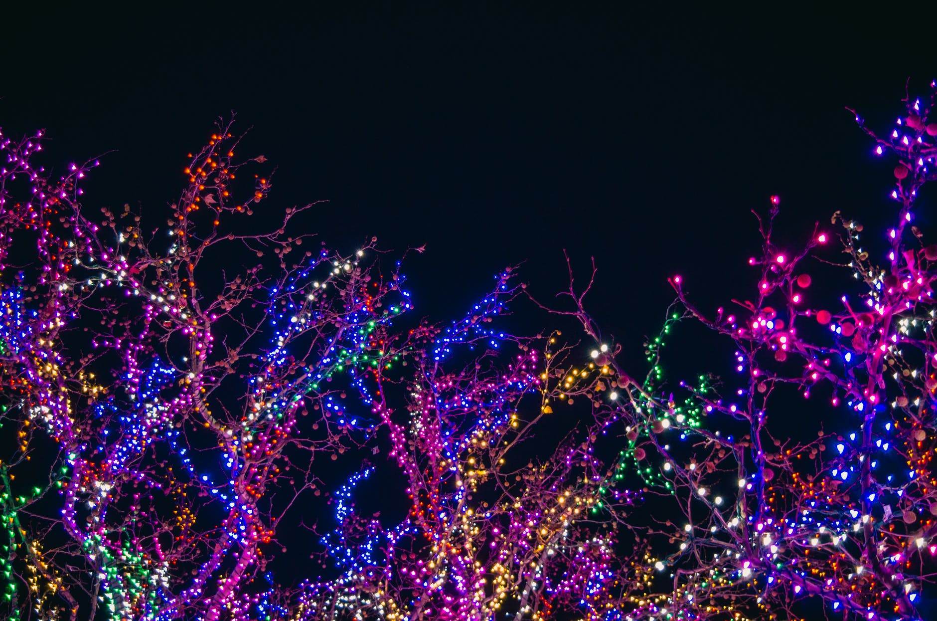 Catch The Holiday Light Show With Our Richmond Tacky Lights Tour