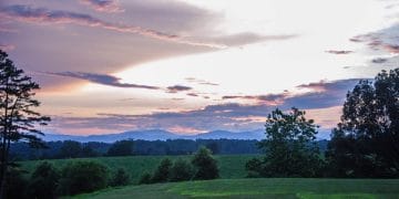 A sunset view of Chisholm Vineyards in Charlottesville, Va.