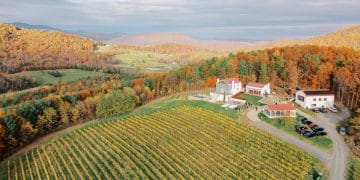 An aerial view of the Moss Vineyards in autumn