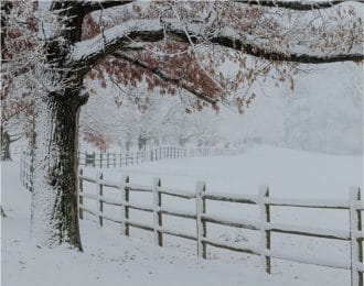 Snow blankets a farm in Charlottesville, Va.